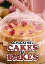 Amazing Cakes &amp; Bakes